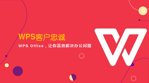 电商客户关系管理案例-9忠诚：WPS