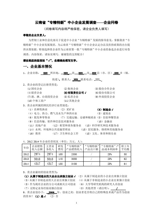 “专精特新”中小企业调查问卷