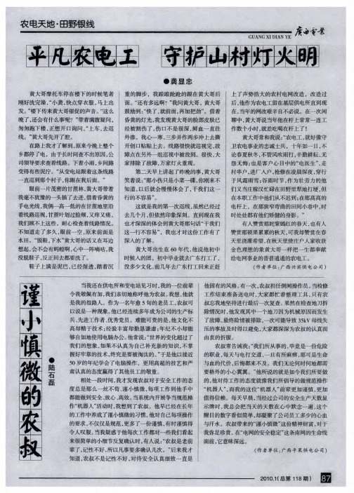 平凡农电工 守护山村灯火明