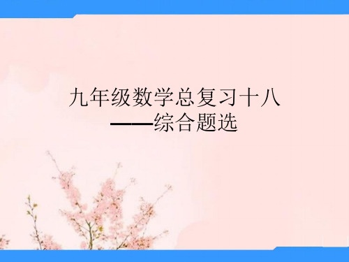 安徽省安庆市岳西县店前中心学校九年级数学总复习《综合题选》课件