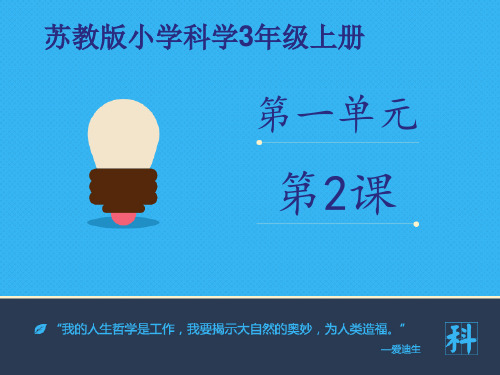 苏教版科学三年级上册课件：《做一名小科学家》课件——第一课时