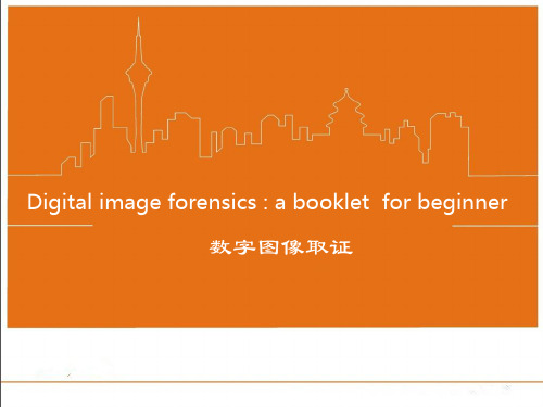 数字图像取证简介