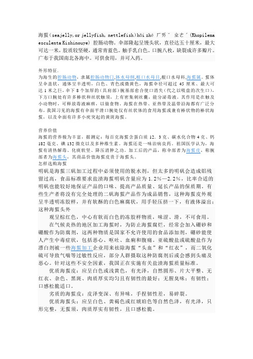 海蜇介绍