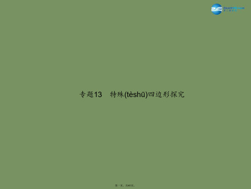 中考数学总复习 专题13 特殊四边形探究课件