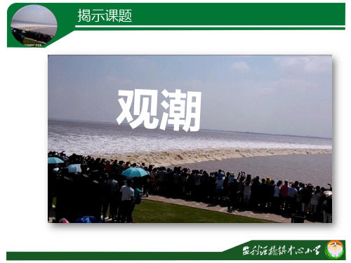 观潮