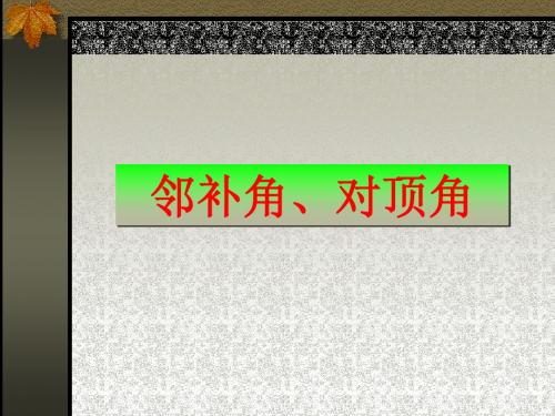13.1邻补角,对顶角