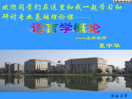 语音的分类