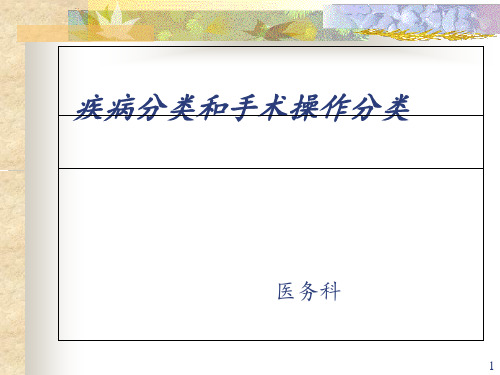 疾病分类和手术操作分类.PPT