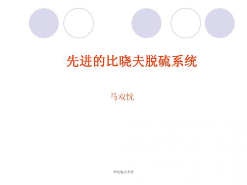 第一天第6节 典型湿法烟气脱硫案例-比晓夫脱硫系统