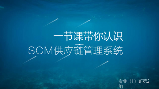 SCM供应链管理系统课件(PPT 47页)