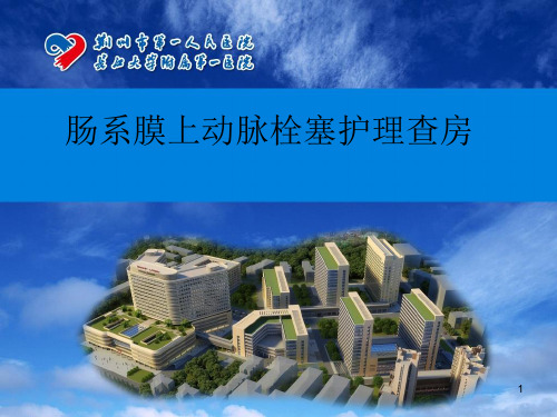 肠系膜查房PPT课件