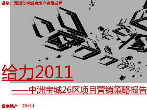 XXXX0916_中洲宝城26区营销策略总纲