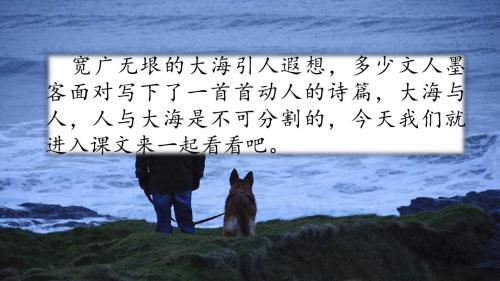 人与大海PPT课件