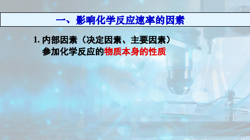 《化学反应速率》教用ppt推荐人教版