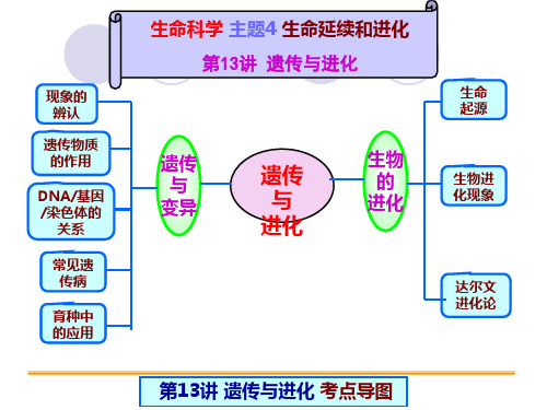 第13讲遗传与进化PPT课件(初中科学)