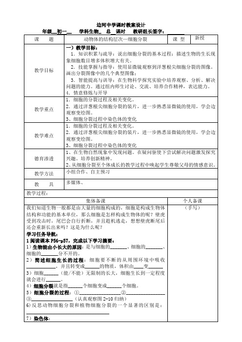动物体的结构层次课时备课2