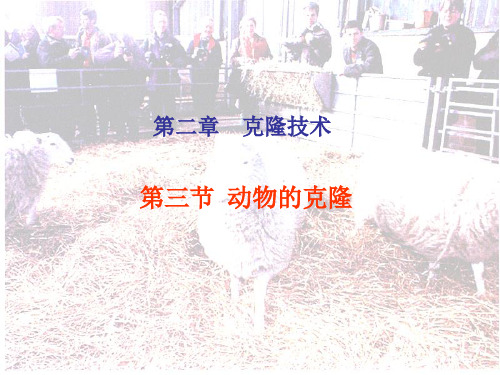 动物的克隆