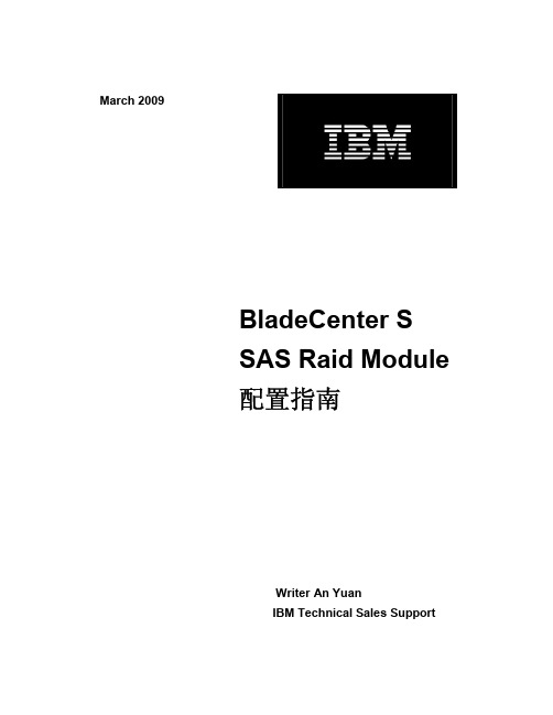 IBM BladeCenter S SAS Raid Module 配置指南