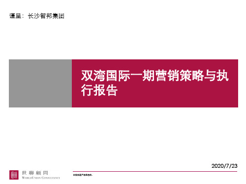 世联长沙双湾国际一期营销策略与执行报告