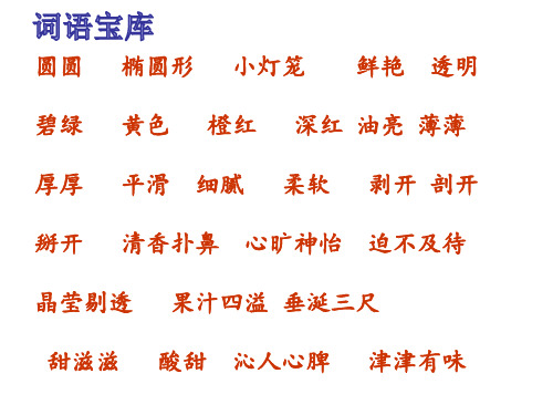 16《我喜欢的一种水果》课件1
