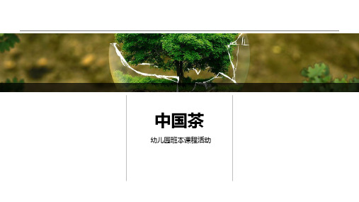 《中国茶》幼儿园班本课程PPT课件