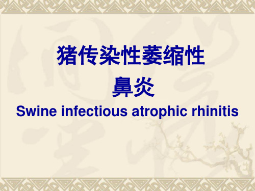 猪传染性萎缩性鼻炎