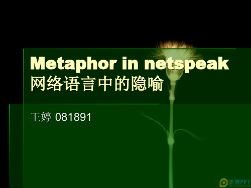 Metaphor in netspeak