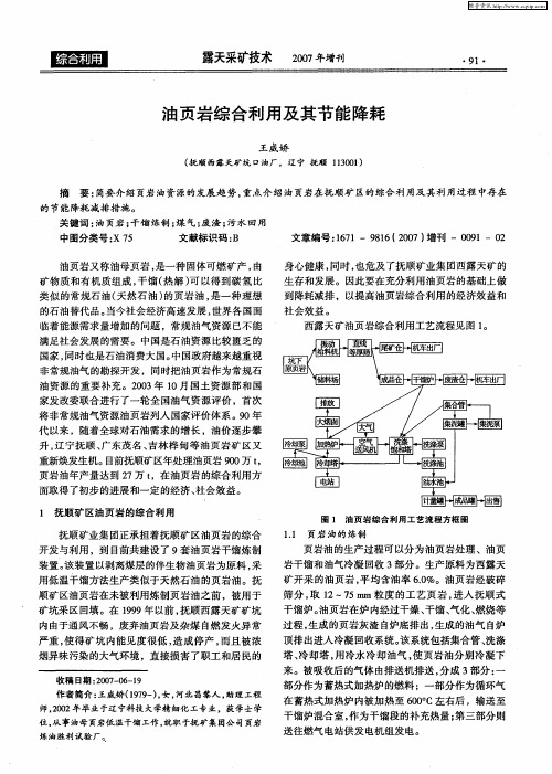 油页岩综合利用及其节能降耗