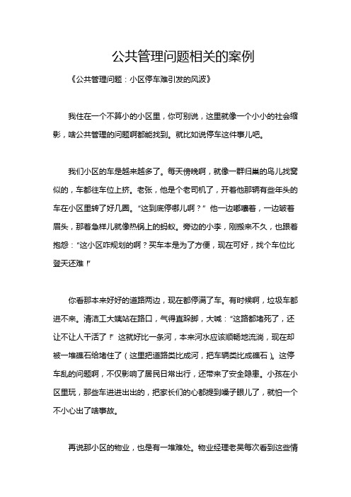 公共管理问题相关的案例