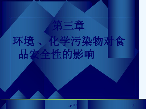 环境化学污染物对食品安全性的影响  ppt课件