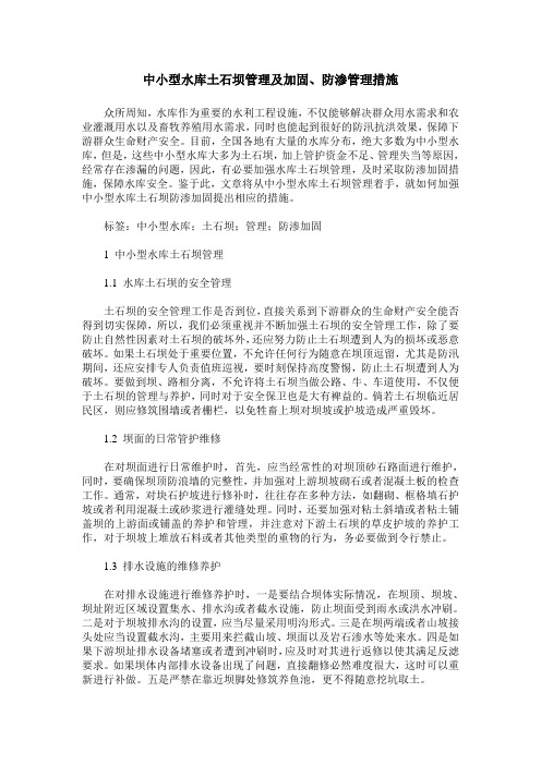 中小型水库土石坝管理及加固、防渗管理措施