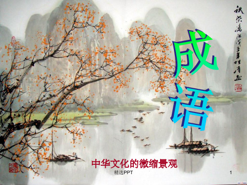 《梳理探究成语》PPT课件
