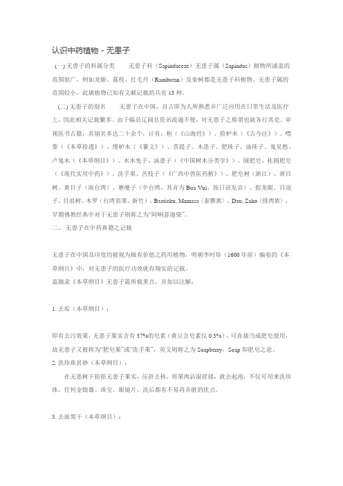认识中药植物——无患子