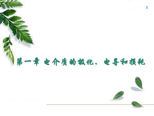 国家电网高压电培训 第一章  电介质极化、电导、损耗
