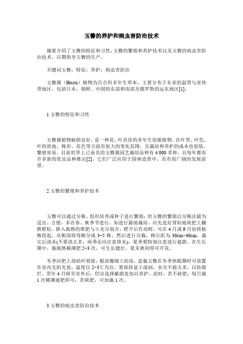 玉簪的养护和病虫害防治技术