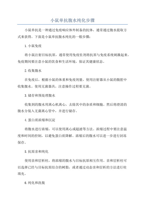 小鼠单抗腹水纯化步骤