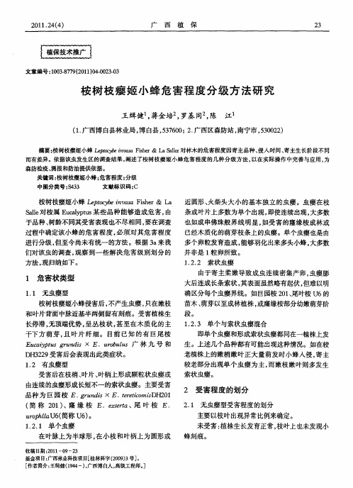 桉树枝瘿姬小蜂危害程度分级方法研究