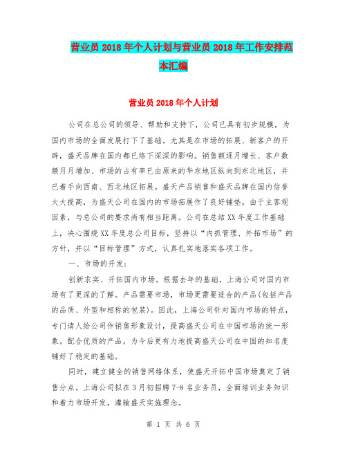 营业员2018年个人计划与营业员2018年工作安排范本汇编