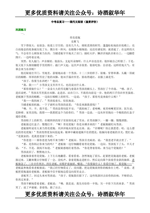 17中考总复习——现代文阅读(鉴赏评价)巩固练习