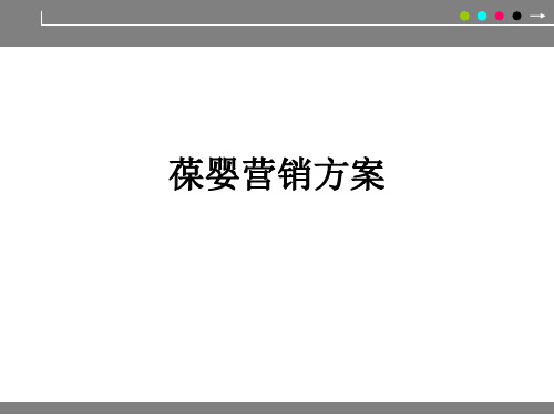 葆婴营销方案ppt课件