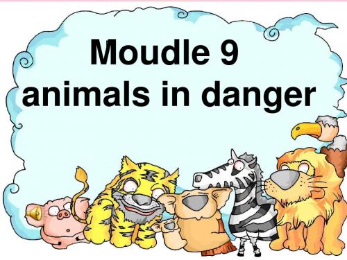 八年级英语上册 module9 animals in danger-外研版 (ppt)