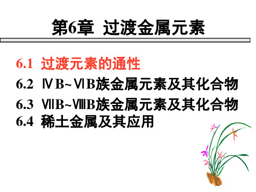6过渡金属元素分析