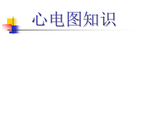 心电图知识