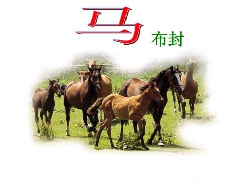 《马》布封课件