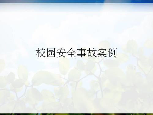 校园安全事故案例