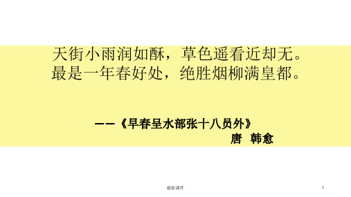 大自然的语言(获奖)ppt课件