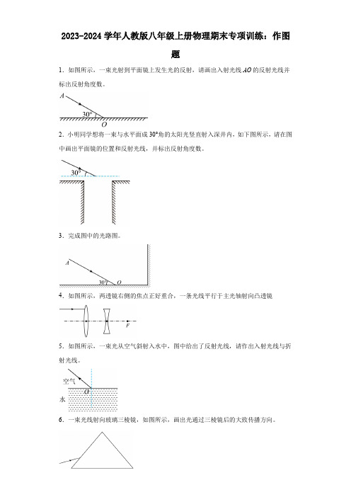 2023-2024学年人教版八年级上册物理期末专项训练：作图题