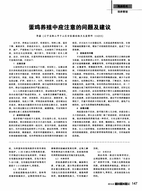 蛋鸡养殖中应注意的问题及建议