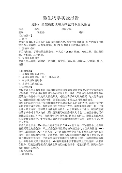 显微镜的使用及细胞的革兰氏染色