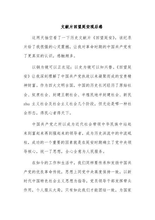 文献片回望延安观后感